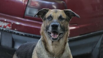 En México, 70% de los