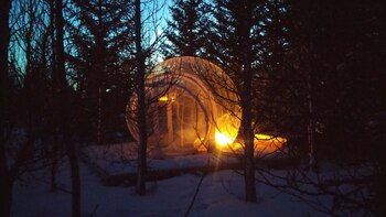 Los precios de cada burbuja