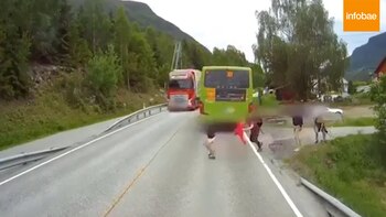 Deciden cruzar sin mirar si