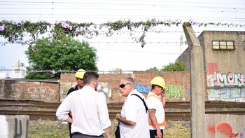 (Renato Segundo Saavedra)