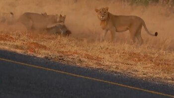 Luego se sumaron las demás