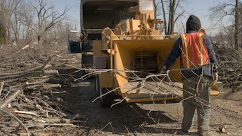 Trituradora de árboles