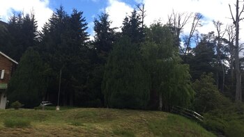 Parte del terreno ocupado por