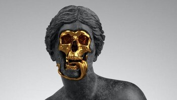 (Detalle) God of the Grove.Todas