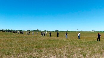 El despliegue de las fuerzas