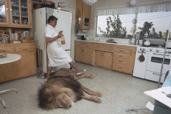 La empleada doméstica esquiva a