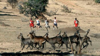 A los corredores los acompaña