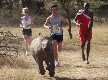 Durante el trayecto, los participantes