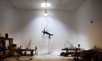 La muestra propone al espectador