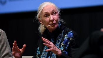 “Toda acción marca la diferencia”,