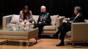 “Estamos metidos en ese circulo