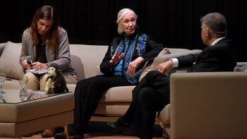 A los 83 años, Goodall