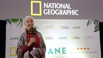 Avant premier de “Jane”, el