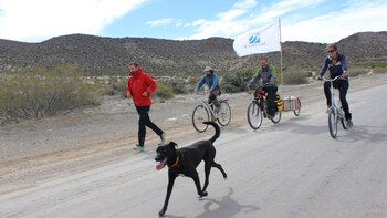 El perro Turky fue un