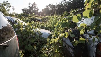 La zona de exclusión en