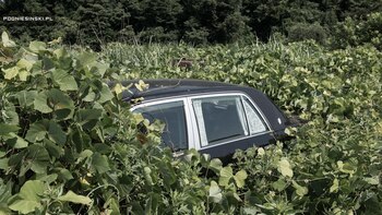 Un Toyota Century, uno de