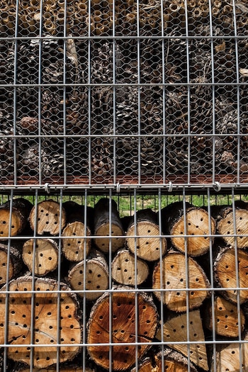 Las diversas capas que alberga