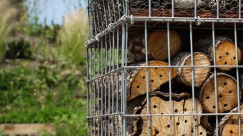 Este miniedificio se ubica en