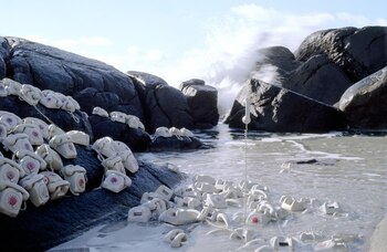 Untitled havoc, 2008, 100cm x