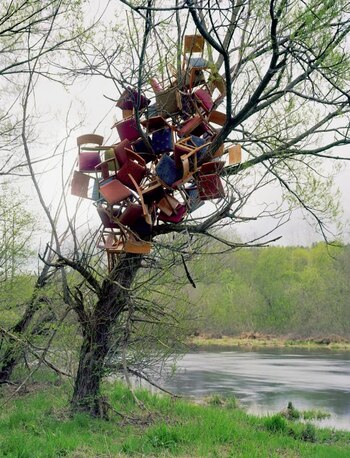 A plague on my stem,