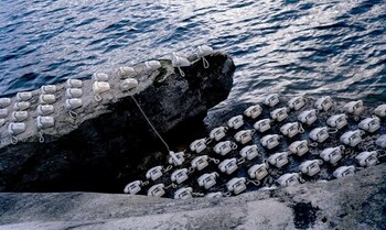 Wink (on the brink), 2008,