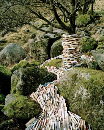 It´s common knowledge, 2009, 187cm