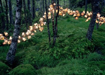 A grid of physical entities,