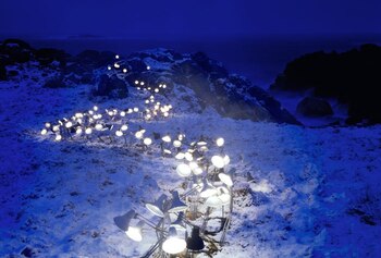 Along with the weather they