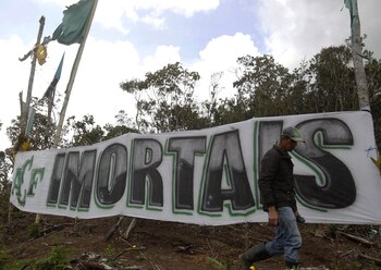 “Inmortales”, reza una de las