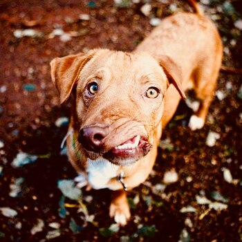 Luego de darse a conocer