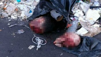 Las cabezas de Carlos Samule