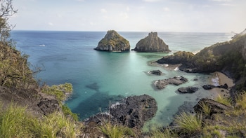 La vacuna está recomendada para