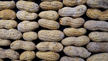 Photo by Flickr user Dean