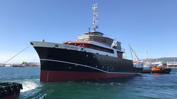 El Víctor Angelescu