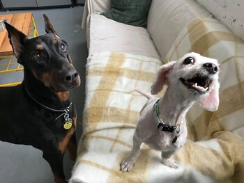 Holland junto a Miller.