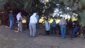 El grupo VIDA, en plena