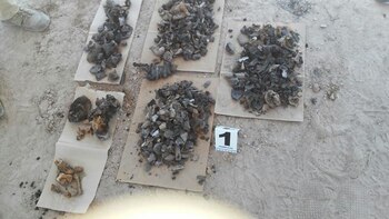 Restos óseos de un hallazgo