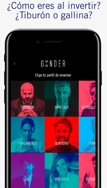 Hay 12 perfiles de inversor