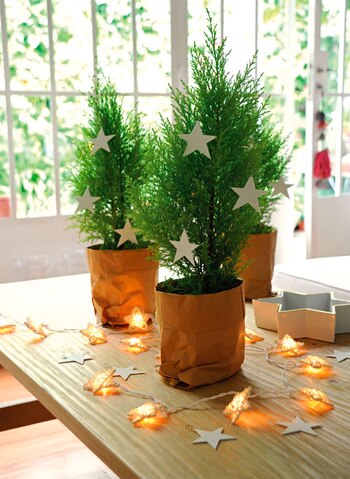 Árbol navideño realizado con pino