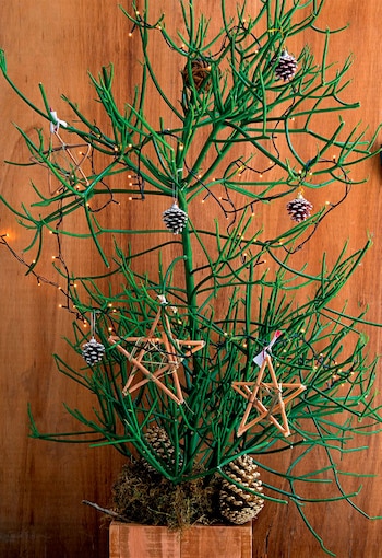 Árbol natural decorado