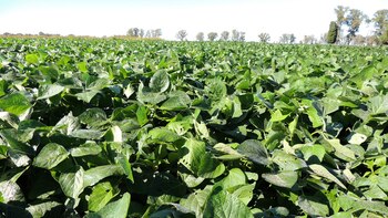 Las economías regionales siguen reclamando