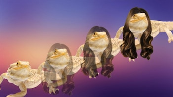 Collage de Gabby Bess