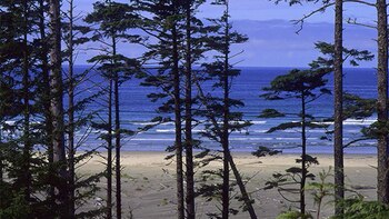 Vancouver Island, Canadá. Allí fueron hallados varios pies mutilados en la última década (Getty Images)
