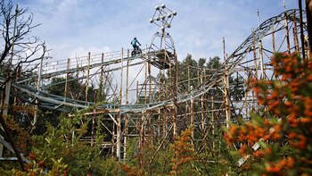 Imagen 7IDHV4GVEBF37HEEYCOMZXG6DM