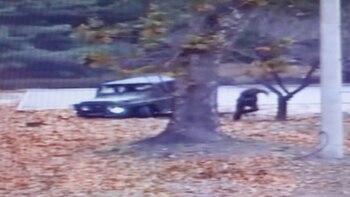 El escape del soldado norcoreano