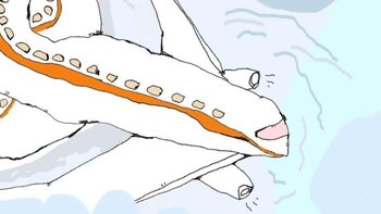 Los expertos insisten en que