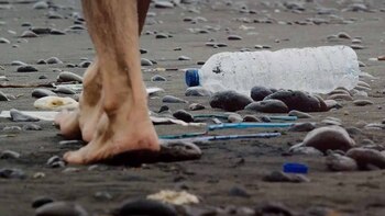 Alertan por la alta contaminación