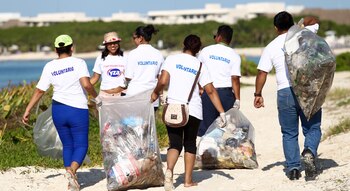 Varias ONGs se ocupan de