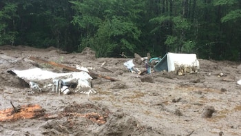 El alud arrasó todo a