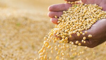 Antes del inicio del plenario